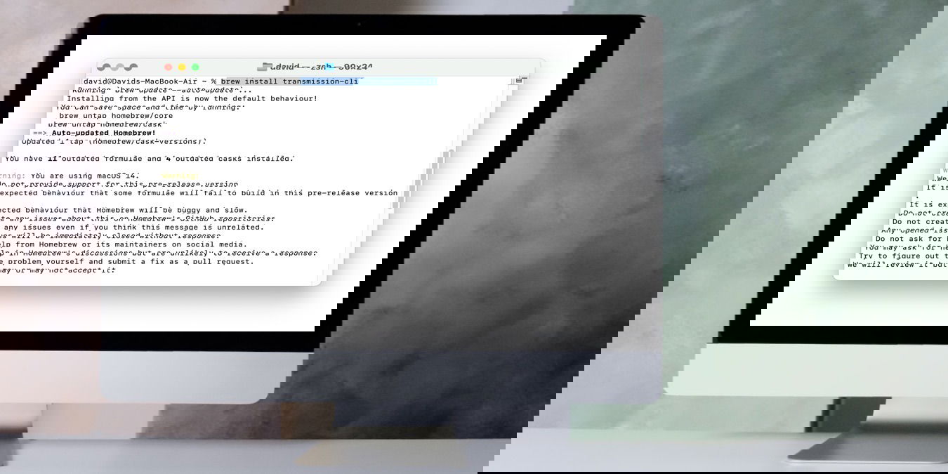 Downloading Torrents Terminal